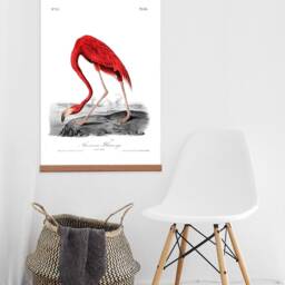 Flamingo Canvas Print With Wooden Magnetic Hanger, Vintage Bird Illustration - thumbnail 3