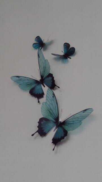 Set Of 4 Teal Blue 3D Butterfly Wall Art Tropical Decor - image 1
