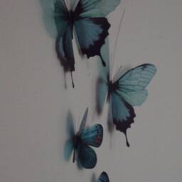 Set Of 4 Teal Blue 3D Butterfly Wall Art Tropical Decor - thumbnail 3