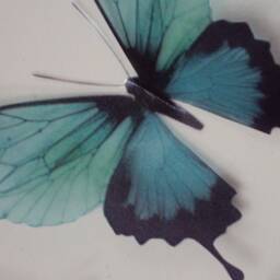Set Of 4 Teal Blue 3D Butterfly Wall Art Tropical Decor - thumbnail 2
