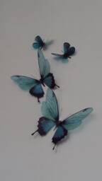 Set Of 4 Teal Blue 3D Butterfly Wall Art Tropical Decor - thumbnail 1