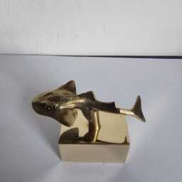 sturgeon in Brass - thumbnail 4