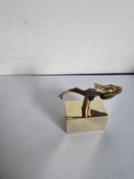 sturgeon in Brass