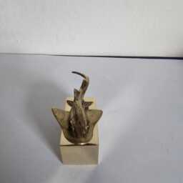sturgeon in Brass - thumbnail 3