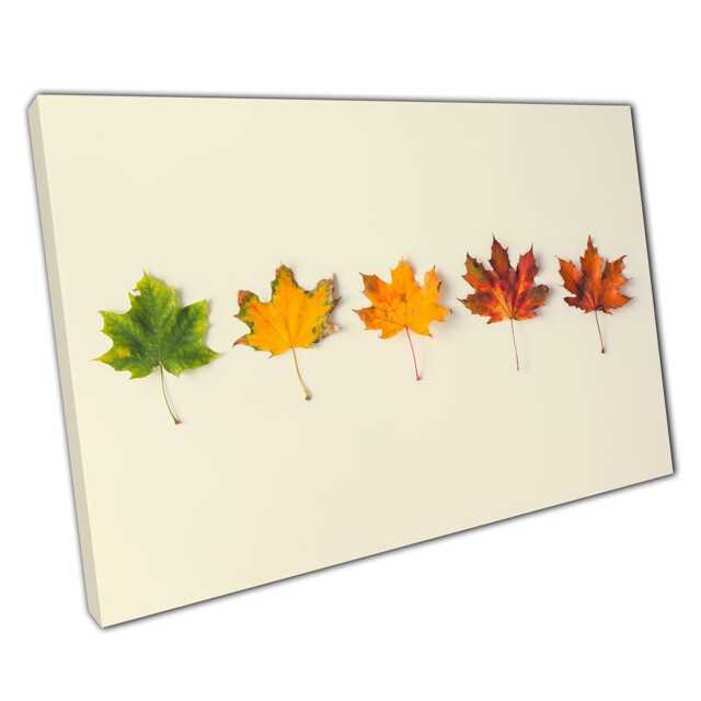 Minimalist Autumn Leaves Canvas Print Rich Green, Orange, Red Nature Photography For Home & Office Decor - image 1