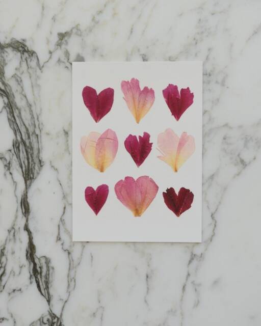 Peony Hearts - Print Reproduction Artwork Of Pressed Flowers 100% Cotton Rag Paper Botanical Art - image 1