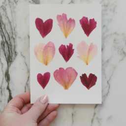 Peony Hearts - Print Reproduction Artwork Of Pressed Flowers 100% Cotton Rag Paper Botanical Art - thumbnail 2