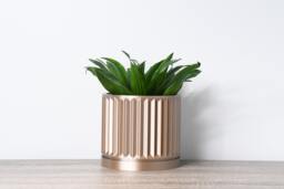 "Classical Planter With Drainage & Saucer in Champagne Bronze, Unique 3D-Printed Plant Pot, Small To Large Sizes 4"" 5"" 6"" 7"" 8"