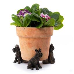 Bronze Schnauzer Potty Feet British Design Plant Pot Stands - Set Of 3 - thumbnail 3