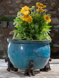Bronze Schnauzer Potty Feet British Design Plant Pot Stands - Set Of 3 - thumbnail 1