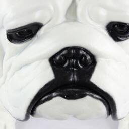 English British Bulldog, White, Dog Natural Size Statue, Limited Edition, Artdog - thumbnail 3