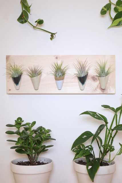 Ceramic Wall Planter, Horizontal By Carter + Rose - image 1