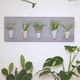 Ceramic Wall Planter, Horizontal By Carter + Rose - thumbnail 4