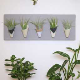 Ceramic Wall Planter, Horizontal By Carter + Rose - thumbnail 2