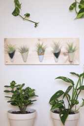 Ceramic Wall Planter, Horizontal By Carter + Rose - thumbnail 1