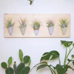 Ceramic Wall Planter, Horizontal By Carter + Rose - thumbnail 3