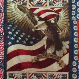 Air Force & American Eagle Throw - thumbnail 2
