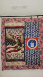 Air Force & American Eagle Throw