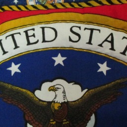 Air Force & American Eagle Throw - thumbnail 3