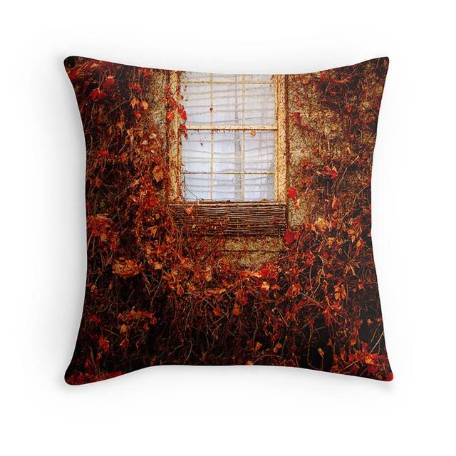 Feeling French Provincial Cushion