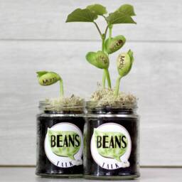 Beans Talk Message Seeds Jar Gift Set - thumbnail 3