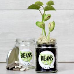 Beans Talk Message Seeds Jar Gift Set - thumbnail 4