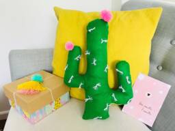 Cactus Cushion With Pom Flowers - thumbnail 1