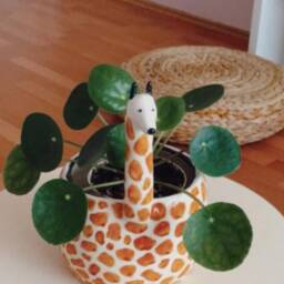 Customizable Cute Handmade Ceramic Giraffe Pot - Personalized Special Gift Animal Figure New Home Succulent, Flower - thumbnail 2