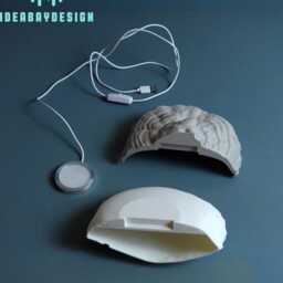 Wall Lamp in The Shape Of A Tinder Fungus - Fomes Fomentarius - thumbnail 2