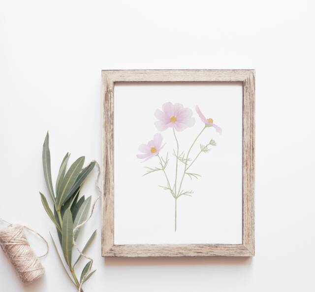 Cosmos Art Print, October Birth Flower Wall Decor, Floral - image 1