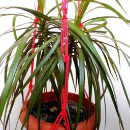 Red Large Macrame Plant Hanger - Macrame Holder 40 Inches Wall Hanging Patterns Indoor Outdoor Planter Pot - thumbnail 3