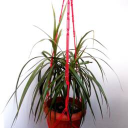 Red Large Macrame Plant Hanger - Macrame Holder 40 Inches Wall Hanging Patterns Indoor Outdoor Planter Pot - thumbnail 2