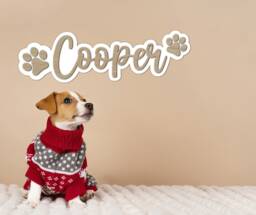 Personalised Dog Name Sign - Crate Plaque Memorial Wall Art Pets - thumbnail 1