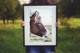 Horse Photo Print Farmhouse Wall Art - Digital Download - thumbnail 1