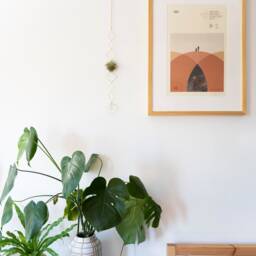 Vert Air Plant Display - Ii, Holder Wall Crystal, Geometric Hanger, Brass Wall, Housewarming Gift Planter - thumbnail 3