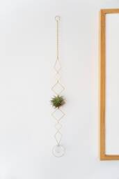 Vert Air Plant Display - Ii, Holder Wall Crystal, Geometric Hanger, Brass Wall, Housewarming Gift Planter