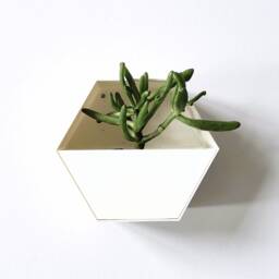 Honeycomb Wall Planter, Geometric Plant Pot For Modern Interiors - thumbnail 1