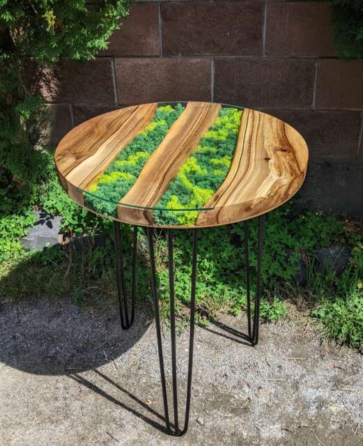 Walnut Coffee Table Round Scandinavian Moss Table - image 1