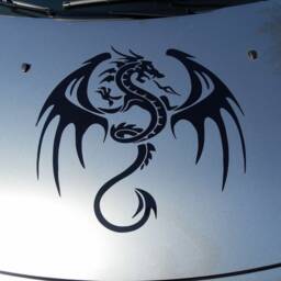 Large 22 X Dragon Decal Vinyl Car Bonnet Side Sticker Wall Art Animal Graphic Silhouette Van Lorry Motorhome Campervan - thumbnail 3