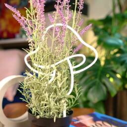 Indoor Garden Trellis For Climbing Houseplants. Sturdy Plant Support Vining Plants. Eco Friendly Gifts Lover. Plant Aesthetic - thumbnail 3