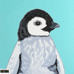 Wall Stickers Penguin, Penguin Decal, Bathroom Nautical Nursery, Bird Stickers, Nursery Decor, Kids Bedroom - thumbnail 2