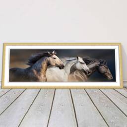 Wild Horses Galloping. Panoramic Framed Picture Print. A Choice Of Frames - thumbnail 1