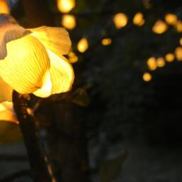Lights Garland, String Lights, Fairy Wedding Home Garden Battery Rustic Wedding Decor - thumbnail 2