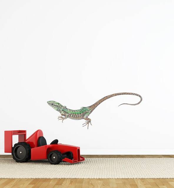 Wall Lizard Sticker Decal - Kids Stickers, Animals Childrens Decals, Art, Room, Girl, Boy