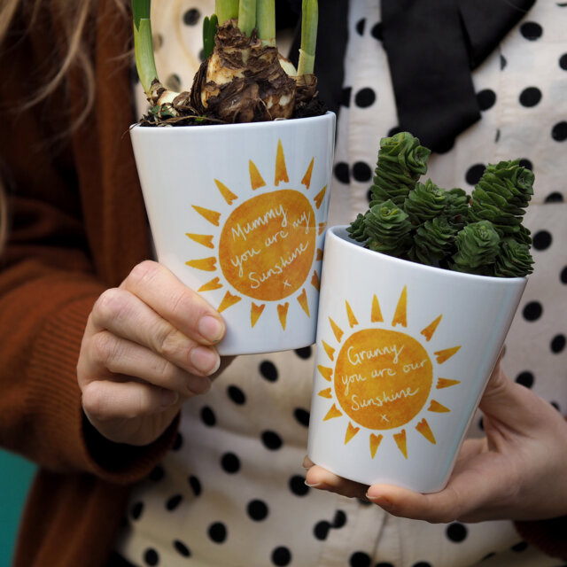 Sunshine Plant Pot Mother's Day Gift For Mummy, Granny, Nanny - image 1