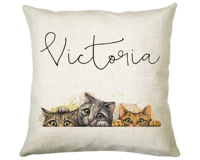 Personalised Cat Lover Cushion Gift Printed Name Design - Throw Pillow For Boys Nursery Bedroom Birthday Christmas Cs039 - image 1
