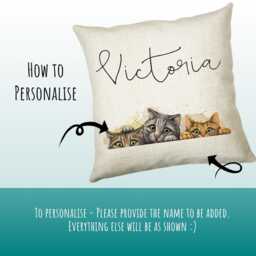 Personalised Cat Lover Cushion Gift Printed Name Design - Throw Pillow For Boys Nursery Bedroom Birthday Christmas Cs039 - thumbnail 3