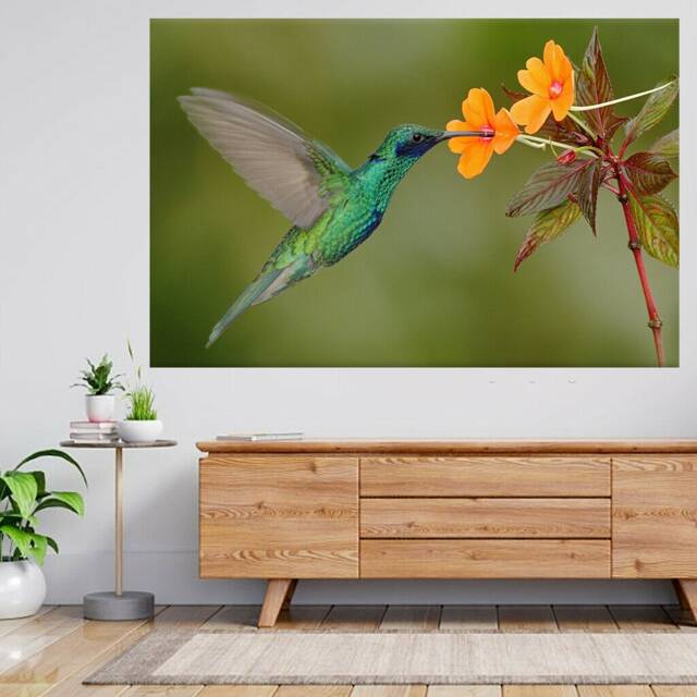 Hummingbird Sparkling Flying 3D View Wall Sticker Poster Decal A775 - image 1