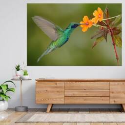 Hummingbird Sparkling Flying 3D View Wall Sticker Poster Decal A775