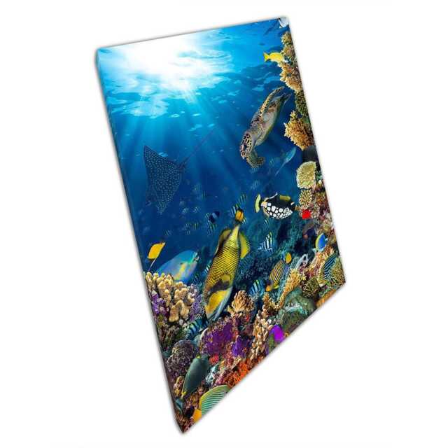 Underwater Coral Reef Canvas Print - Marine Life Photography Wall Art For Home Office D??cor - image 1